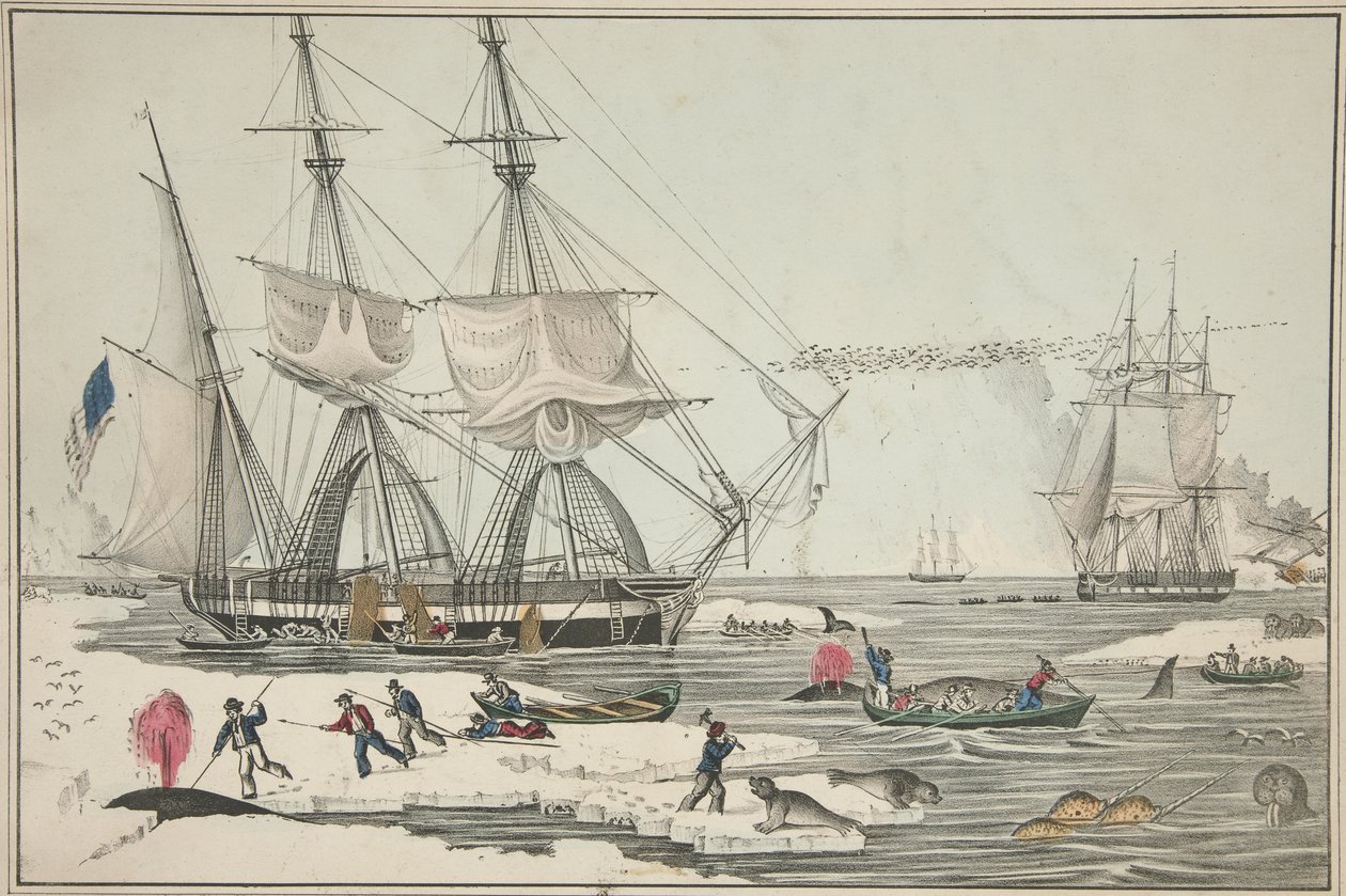 Északi-tengeri bálnahalászat, pub. 1860 (színes litó) alkotó: American School