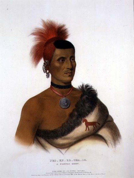 Pes-Ke-Le-Cha-Co, A Pawnee Chief, pub. J. T. Bowen (1801-1856 körül) 1841 (színes litó) alkotó: American School