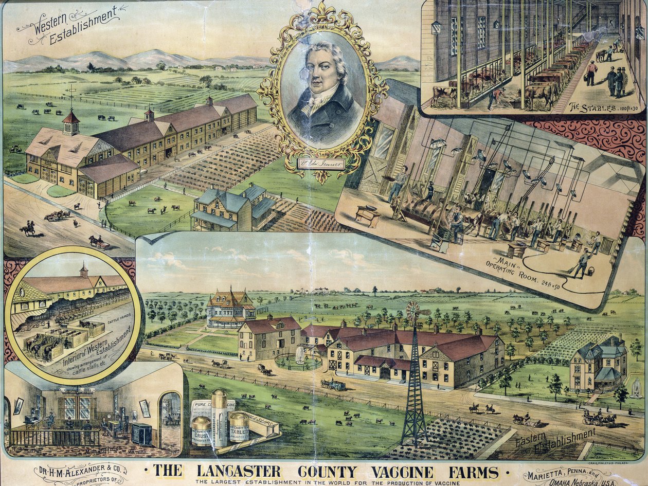 A Lancaster megyei vakcinafarmok terve, Nebraska alkotó: American School