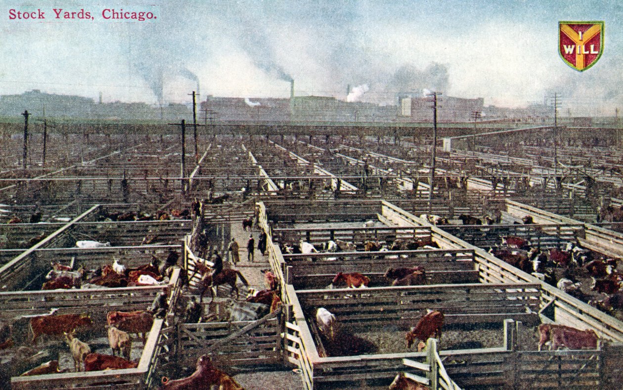 A chicagói raktártelepeket és vágóhidakat ábrázoló képeslap, 1910 körül (színes fotó) alkotó: American School