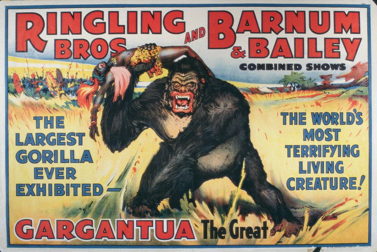 Nagy Gargantuát reklámozó plakát a „Ringling Bros. and Barnum & Bailey Combined Show” rendezvényen (színes litho) alkotó: American School