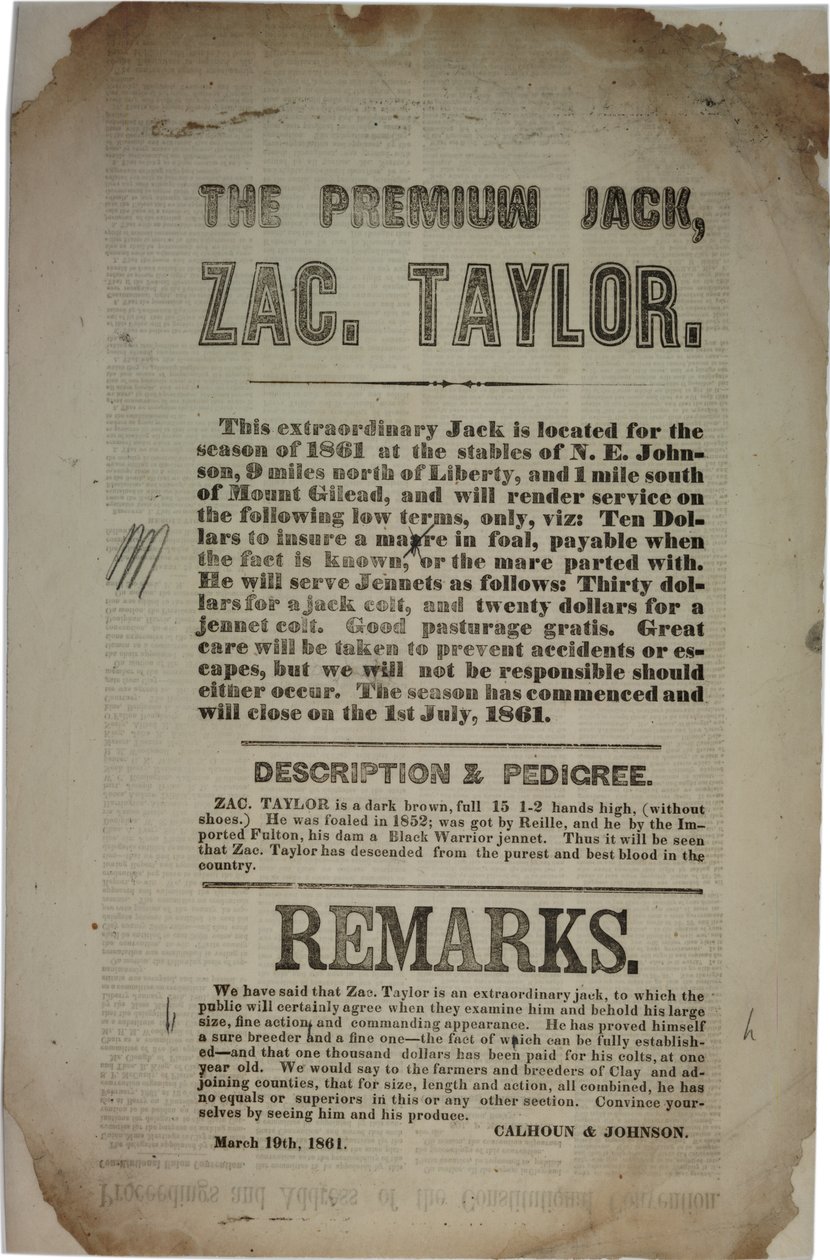 Az Alkotmányos Konvent eljárása és címe, 1861. március 19 alkotó: American School