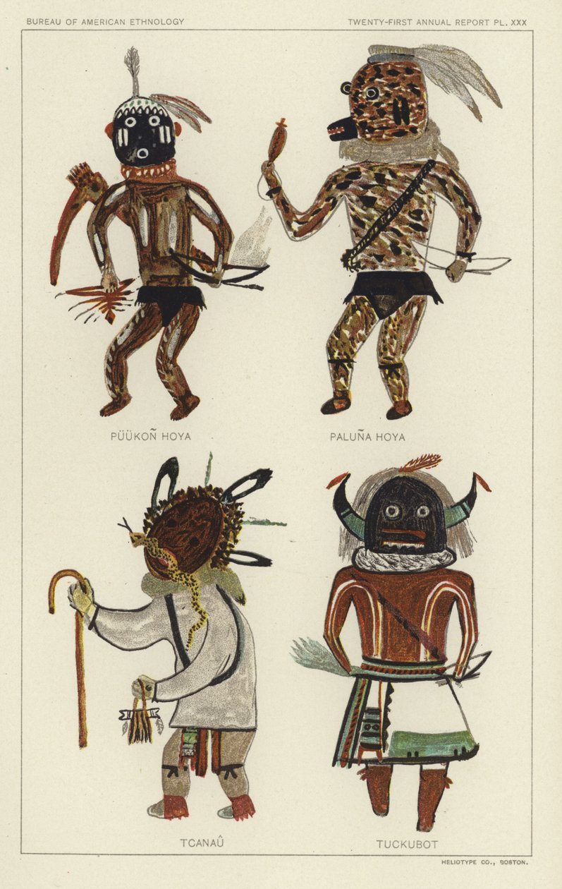 Puukon Hoya, Paluna Hoya, Tcanau, Tuckubot (színes litográfia) alkotó: American School