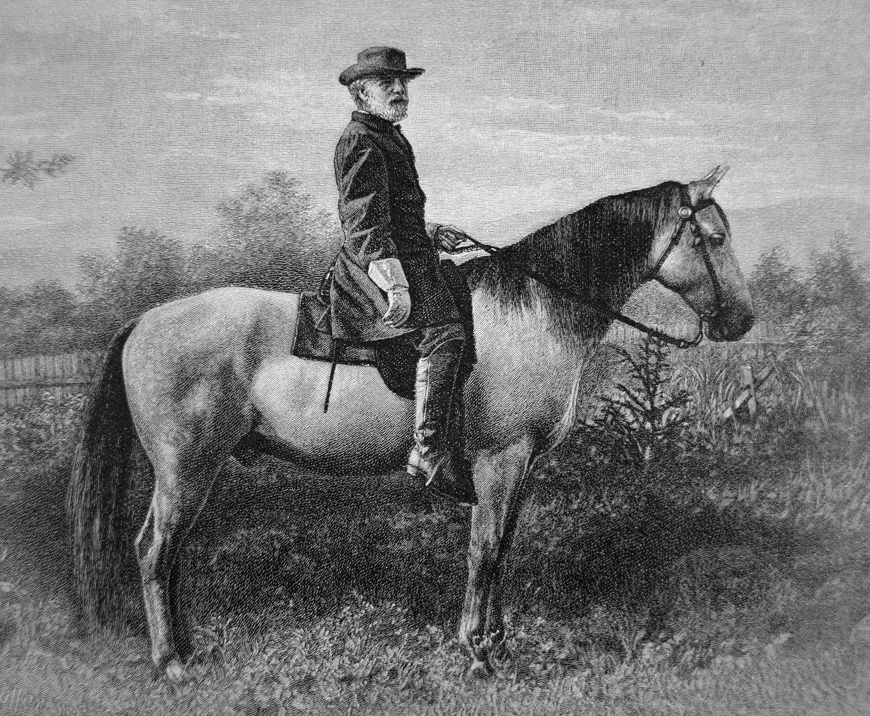 Robert E. Lee (1807-70) „Traveller” harci lován (metszet) alkotó: American School