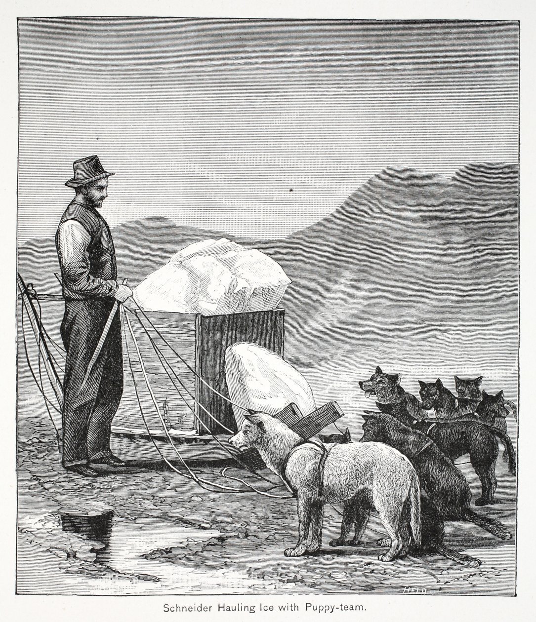 Schneider jeget cipel a Puppy-team, kocsma. London 1886 alkotó: American School