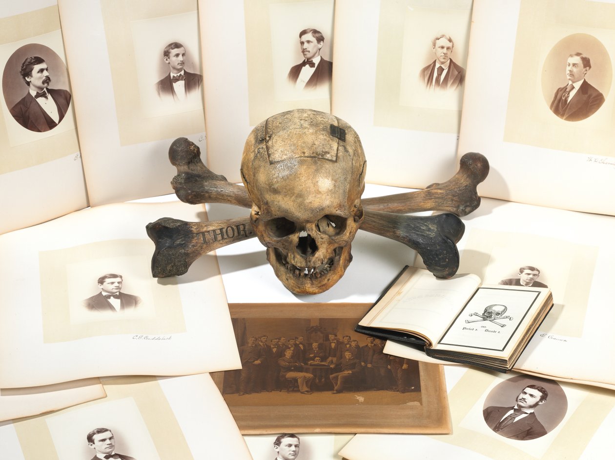 Skull-and-Bones szavazóurna alkotó: American School