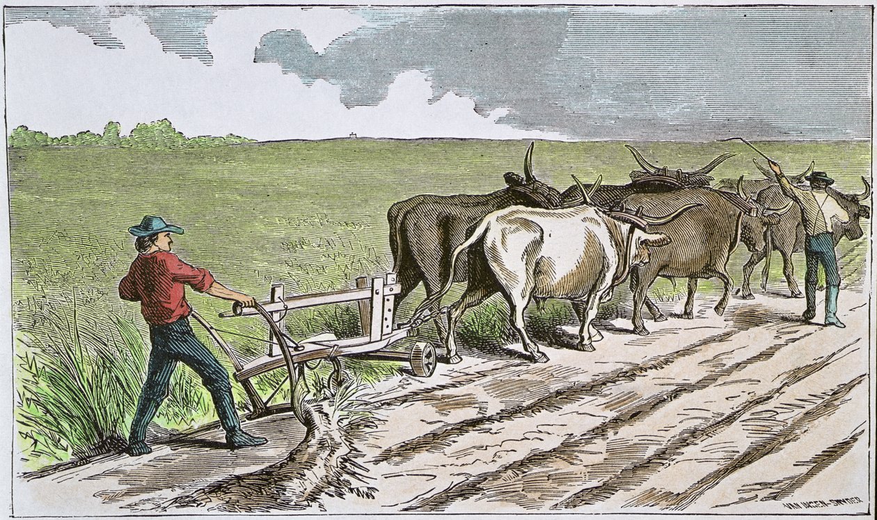 Sodbusters of the American West, 1880 körül (színes metszet) alkotó: American School