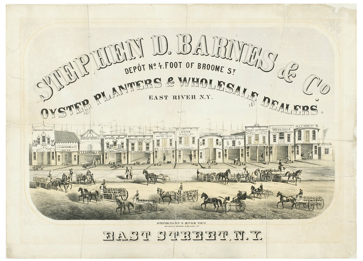 Stephen D. Barnes & Co. Osztrigaültetvények és nagykereskedők, telephely No. 4 láb a Broome Streettől alkotó: American School