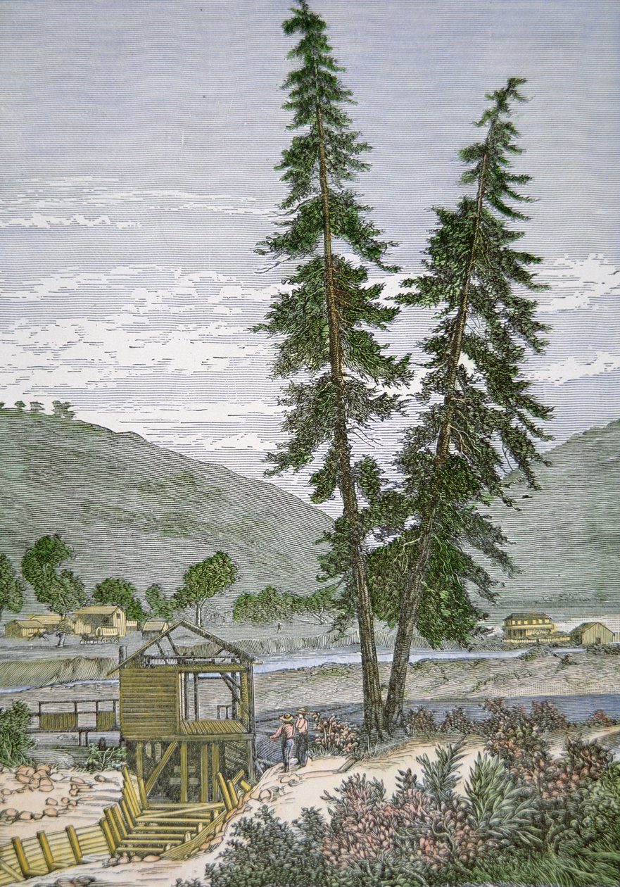 Sutter malma alkotó: American School