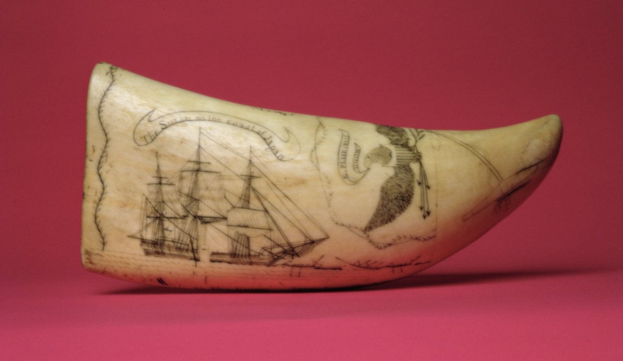 A Susan Japán partján Scrimshaw (fog) alkotó: American School