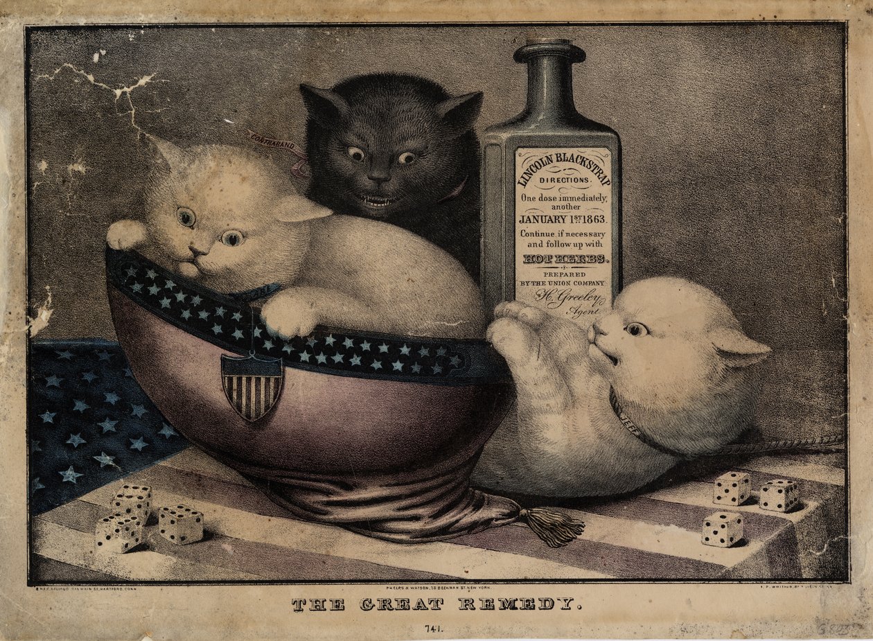 A nagyszerű gyógymód, az E.B. és E.C. Kellogg, Hartford Ct., és Phelps and Watson, New York, és F.P. Whiting, New York, kb. 1863 alkotó: American School