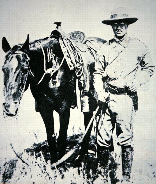 Theodore Roosevelt a lovával, 1885 körül (litho) alkotó: American School