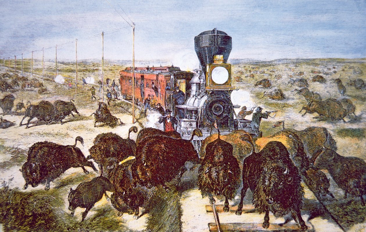 Utasok vonatozása a Kansas Pacific Railroad-on, bivalylövöldözés sport céljára az 1870-es években (színes litó) alkotó: American School