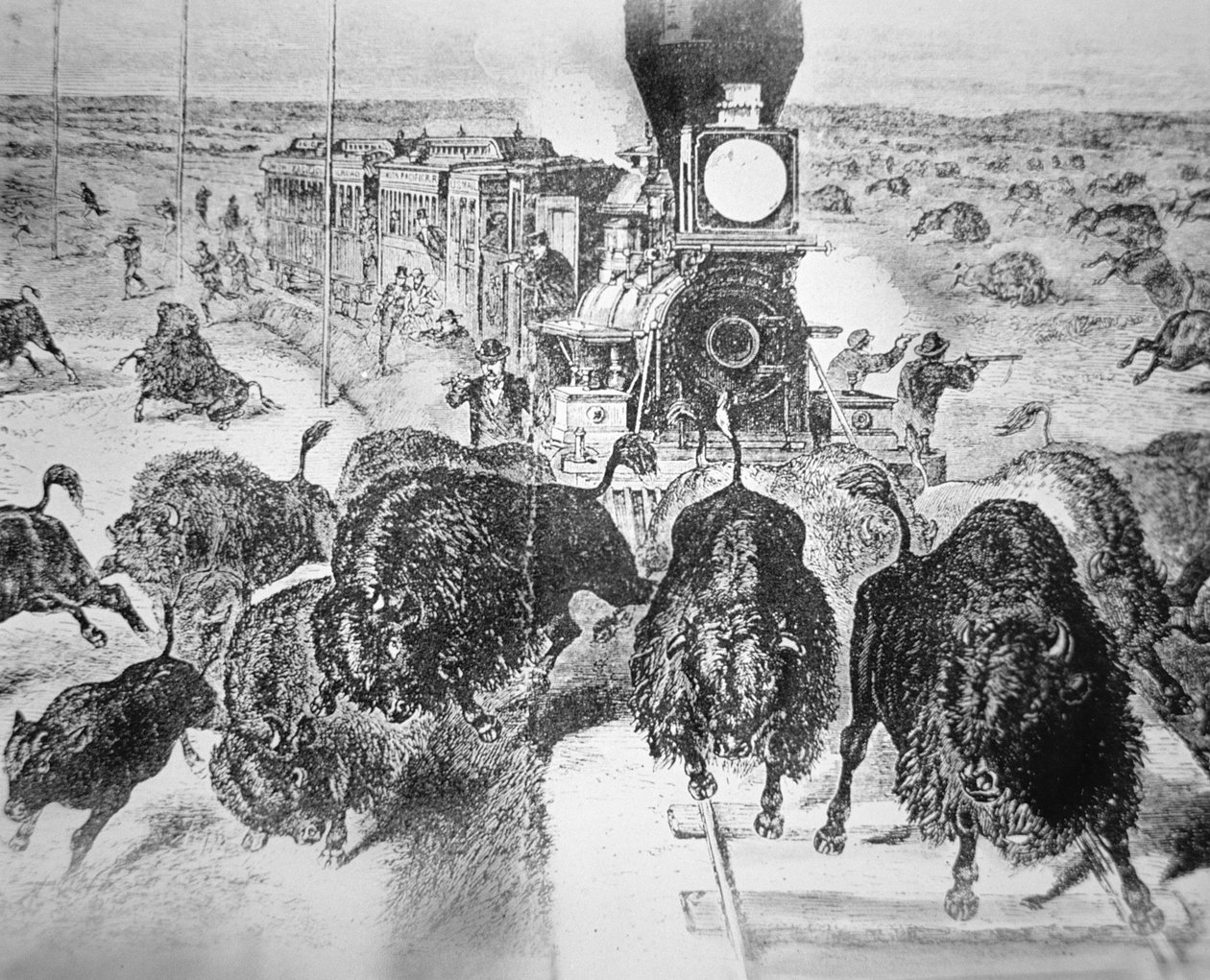 Utasok vonatozása a Kansas Pacific Railroadon, bivalylövöldözés sportcélból az 1870-es években (litho) alkotó: American School