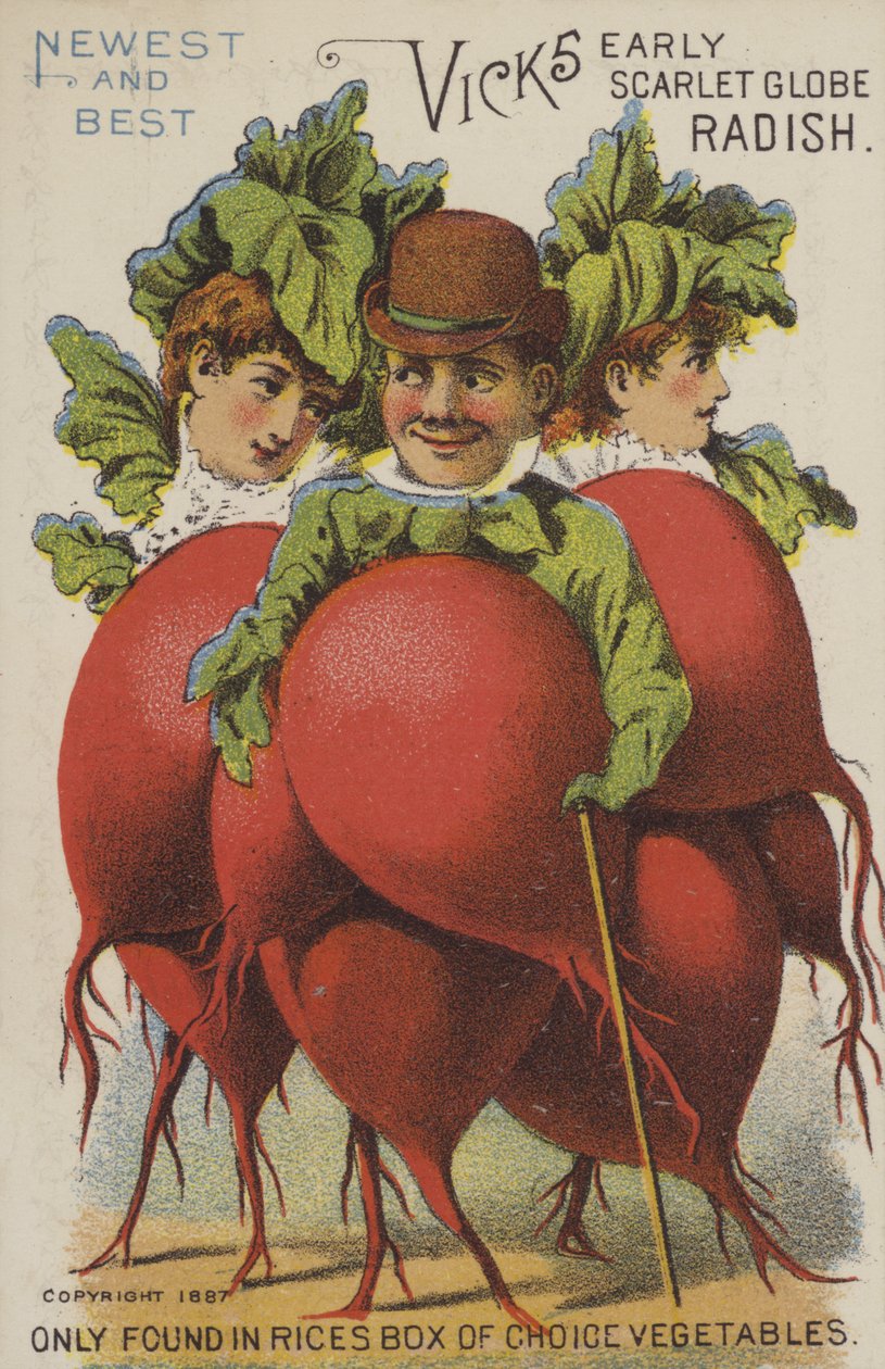 Vicks Early Scarlet Globe retek (chromolitho) alkotó: American School