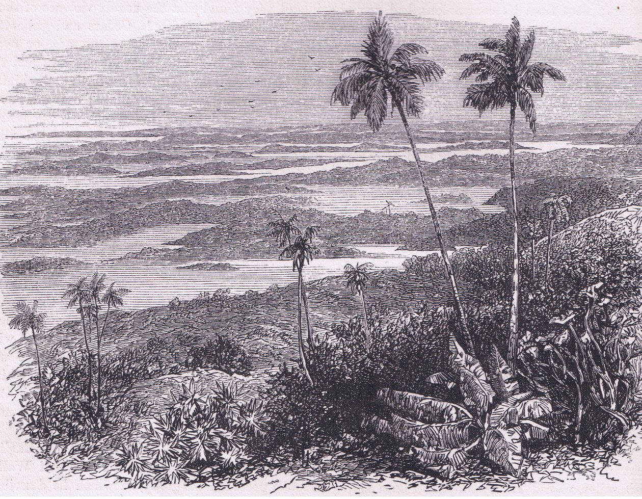 Kilátás a Bermudákra, illusztráció Cassell története az Egyesült Államok pubjából. készítette: Petter & Galpin 1890 körül (litho) alkotó: American School