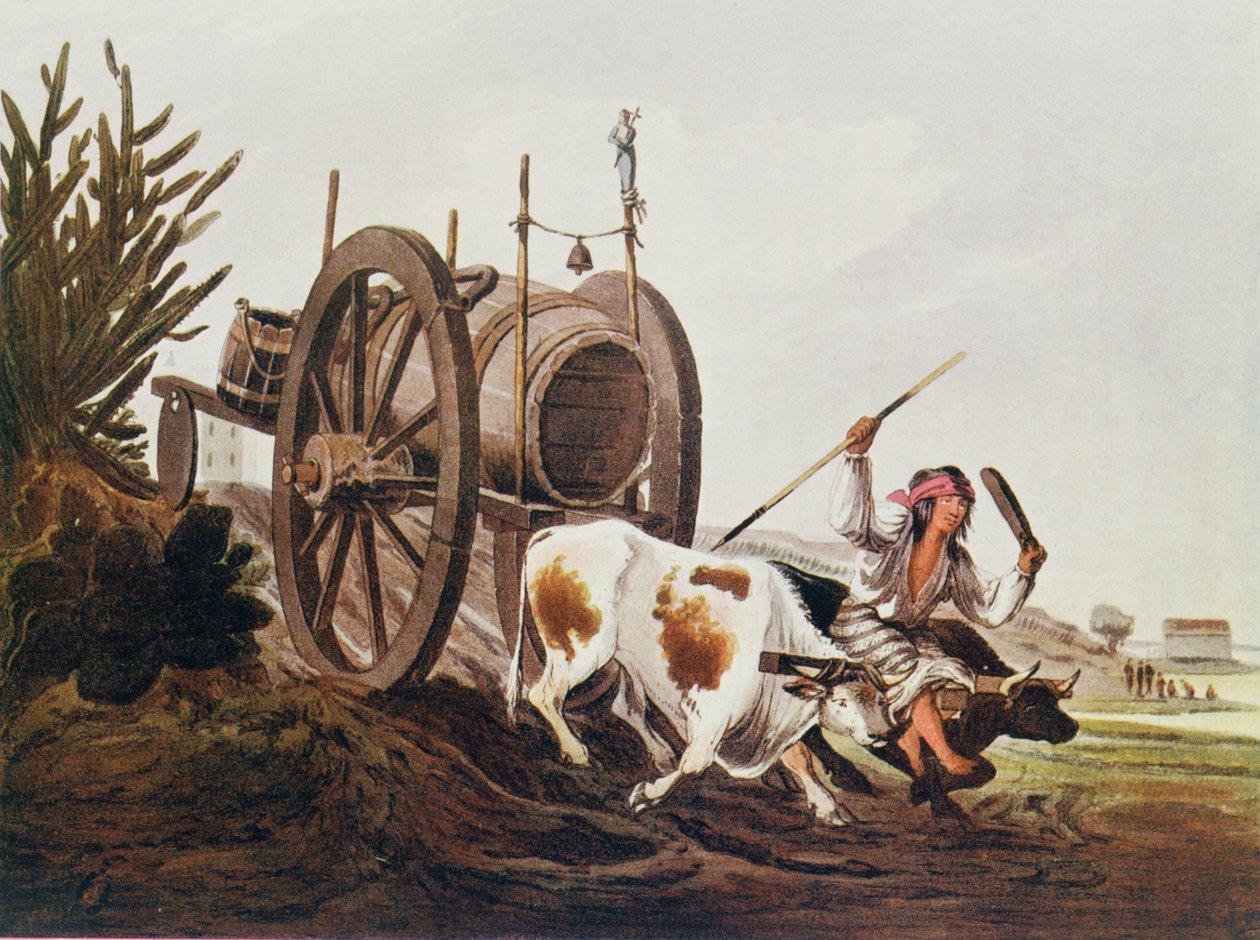 Vízikocsi, a Vidals Picturesque Illustrations of Buenos Aires és Montevideo, pubból reprodukált. 1820-ban, The Romance of the River Plate, 1. kötet. Én, W. H. Koebel, 1914 alkotó: American School