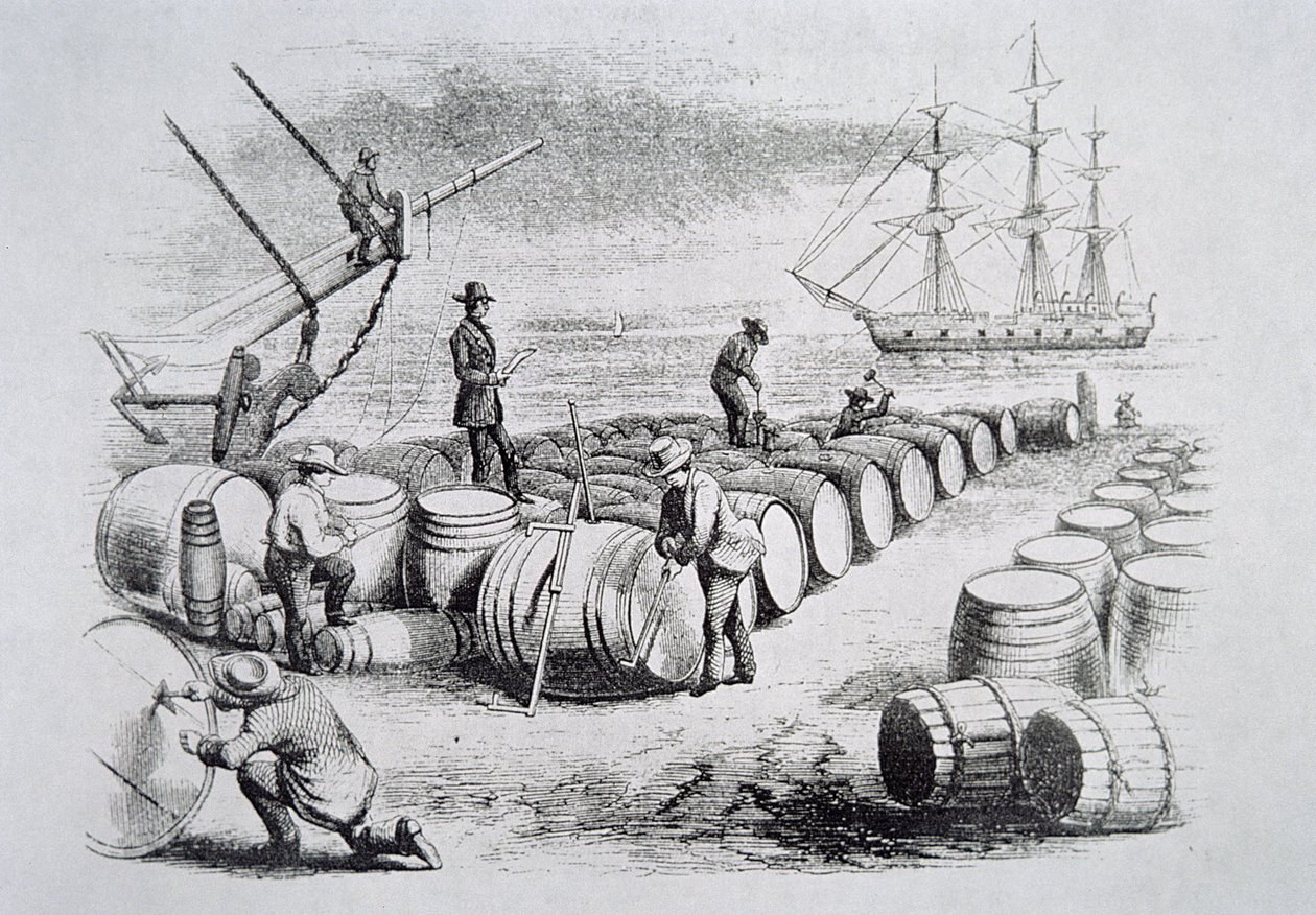 Bálnavadászok hordókban olajat mérnek, The American Whale Fishery, 1850 körül (metszet) alkotó: American School