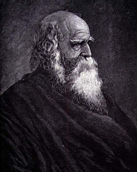 William Cullen Bryant (metszet) alkotó: American School