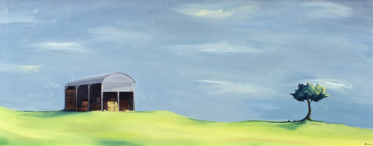 Poulton Fields alkotó: Ana Bianchi