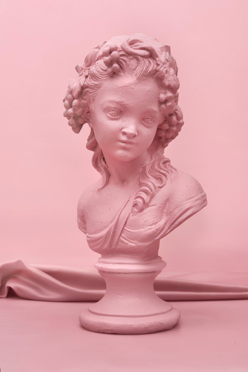 Avatar_07, 2015 (fényképezés) alkotó: Ana Carolina Tavares Mizrahi