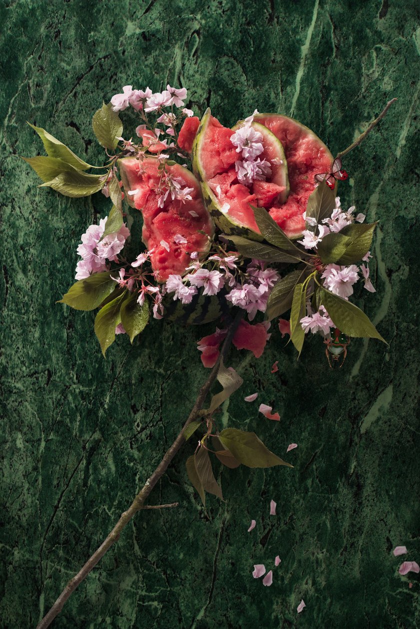 Eve_09, 2016 (fényképezés) alkotó: Ana Carolina Tavares Mizrahi