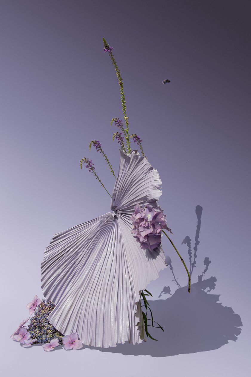 Ikebana 01, 2018 (fotózás) alkotó: Ana Carolina Tavares Mizrahi