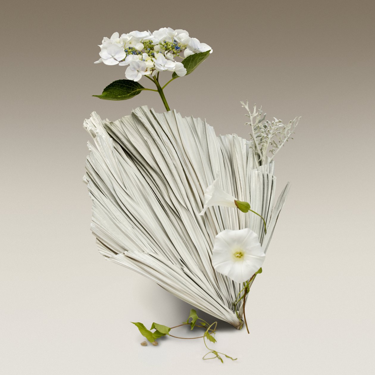 Ikebana 08, 2018 (fotózás) alkotó: Ana Carolina Tavares Mizrahi