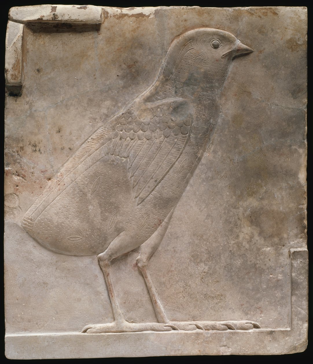 Fürjfióka fiókát ábrázoló plakett alkotó: Ancient Egyptian