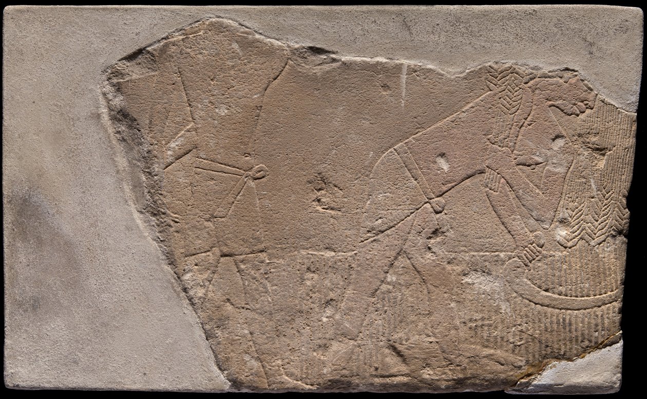 Sírból származó falmaradvány, amely egy aratási jelenetet ábrázol alkotó: Ancient Egyptian