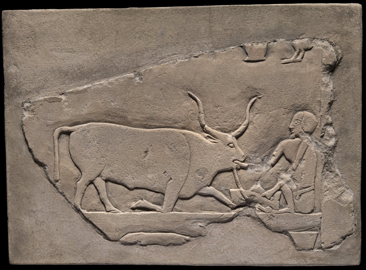 Egy pásztort ábrázoló falmaradvány egy sírból alkotó: Ancient Egyptian