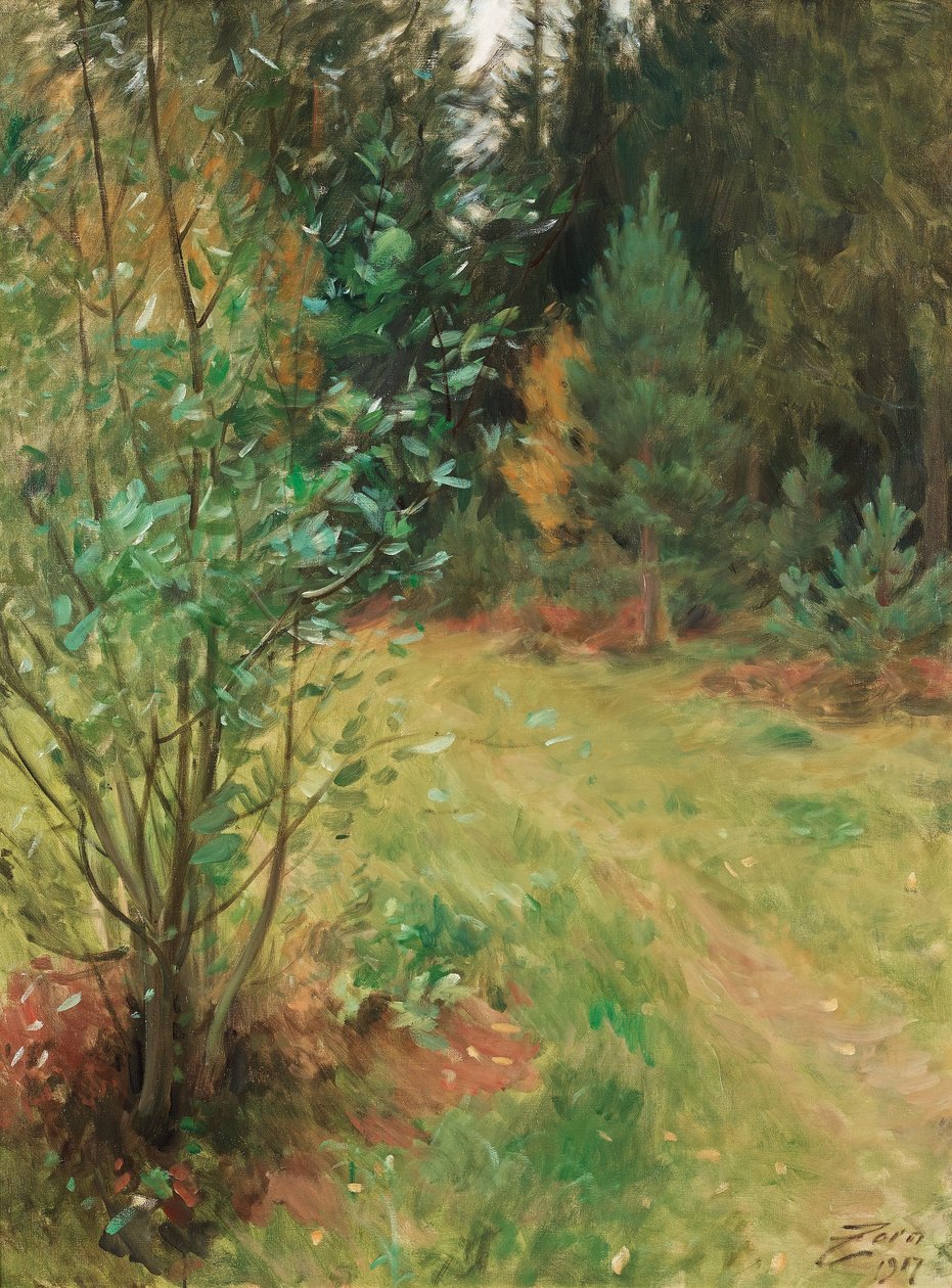 Táj Gopsmorból alkotó: Anders Leonard Zorn