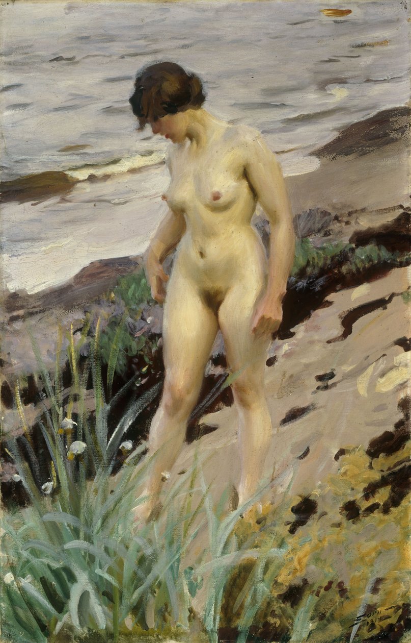 Sandhamn-tanulmány, 1914 alkotó: Anders Leonard Zorn