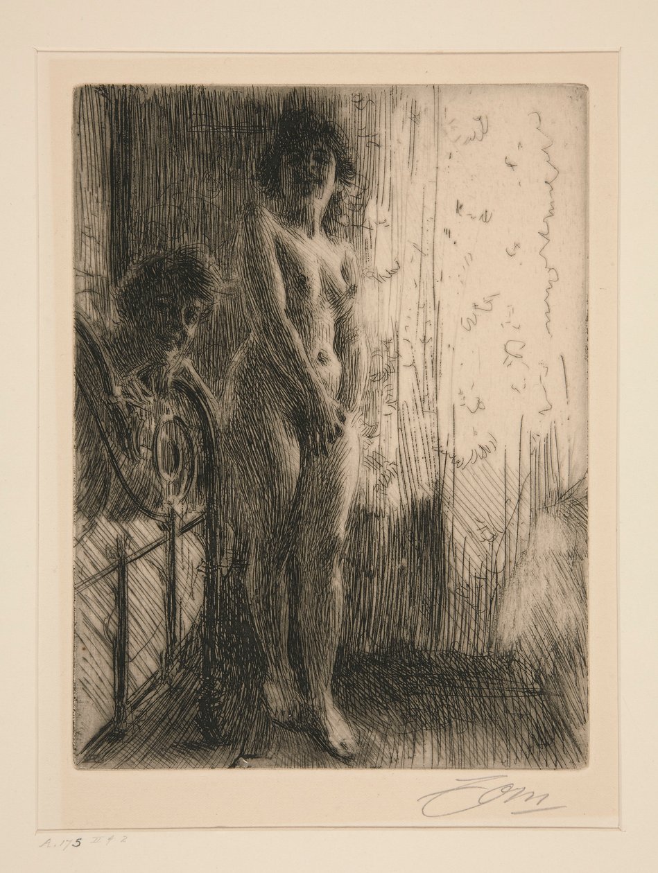 Egy sötét sarok alkotó: Anders Leonard Zorn