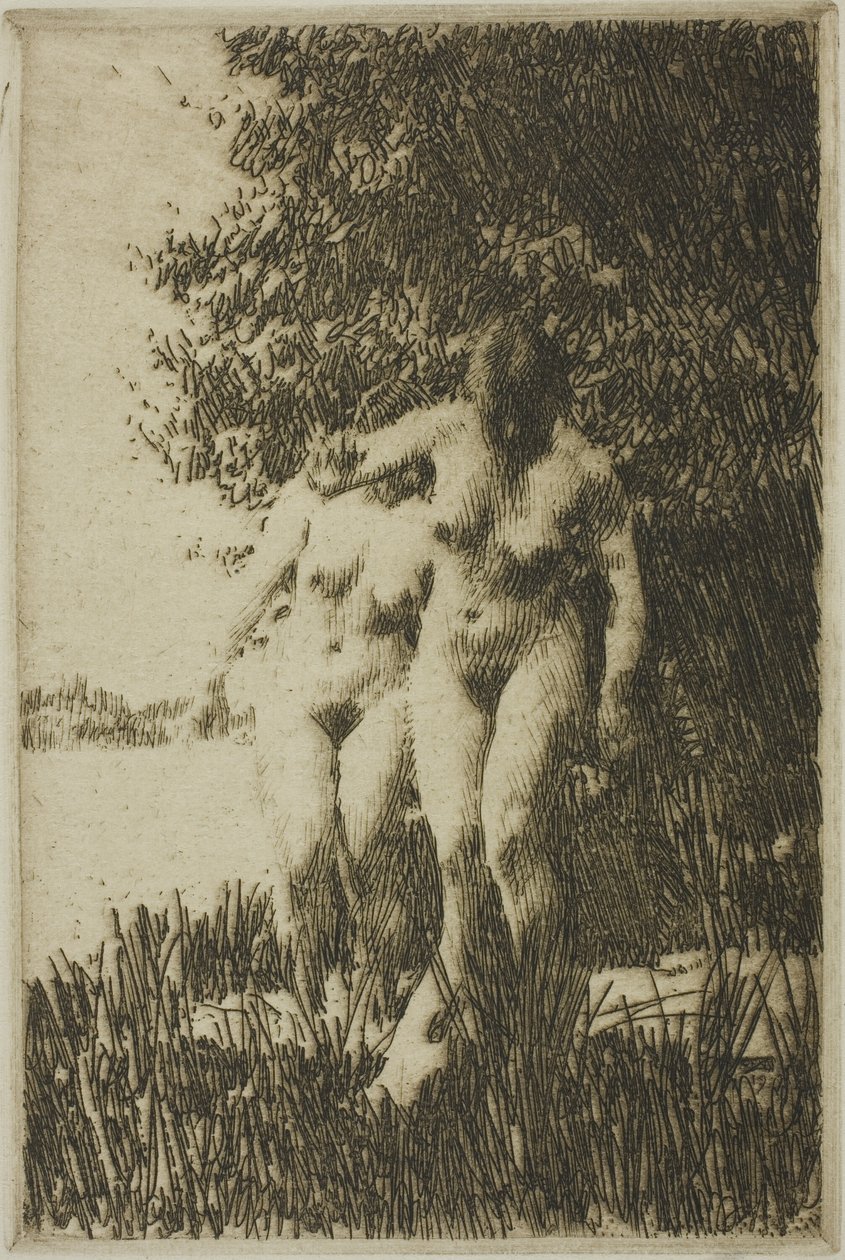 Égerfa alkotó: Anders Leonard Zorn