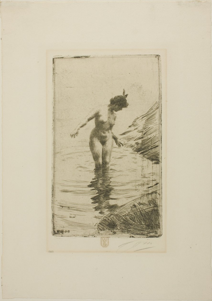 Vízkörök II alkotó: Anders Zorn
