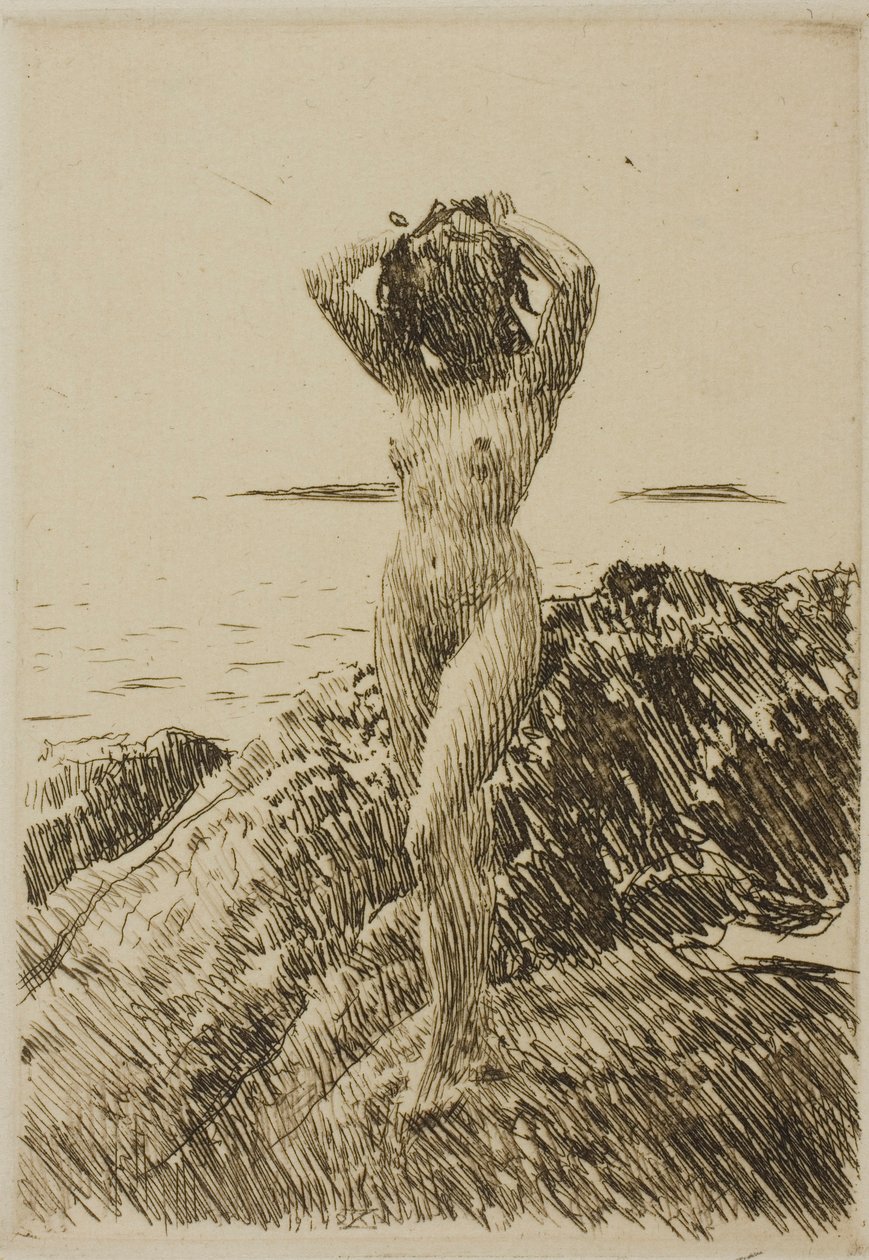 Hårtång (tengeri alga koszorú) alkotó: Anders Zorn
