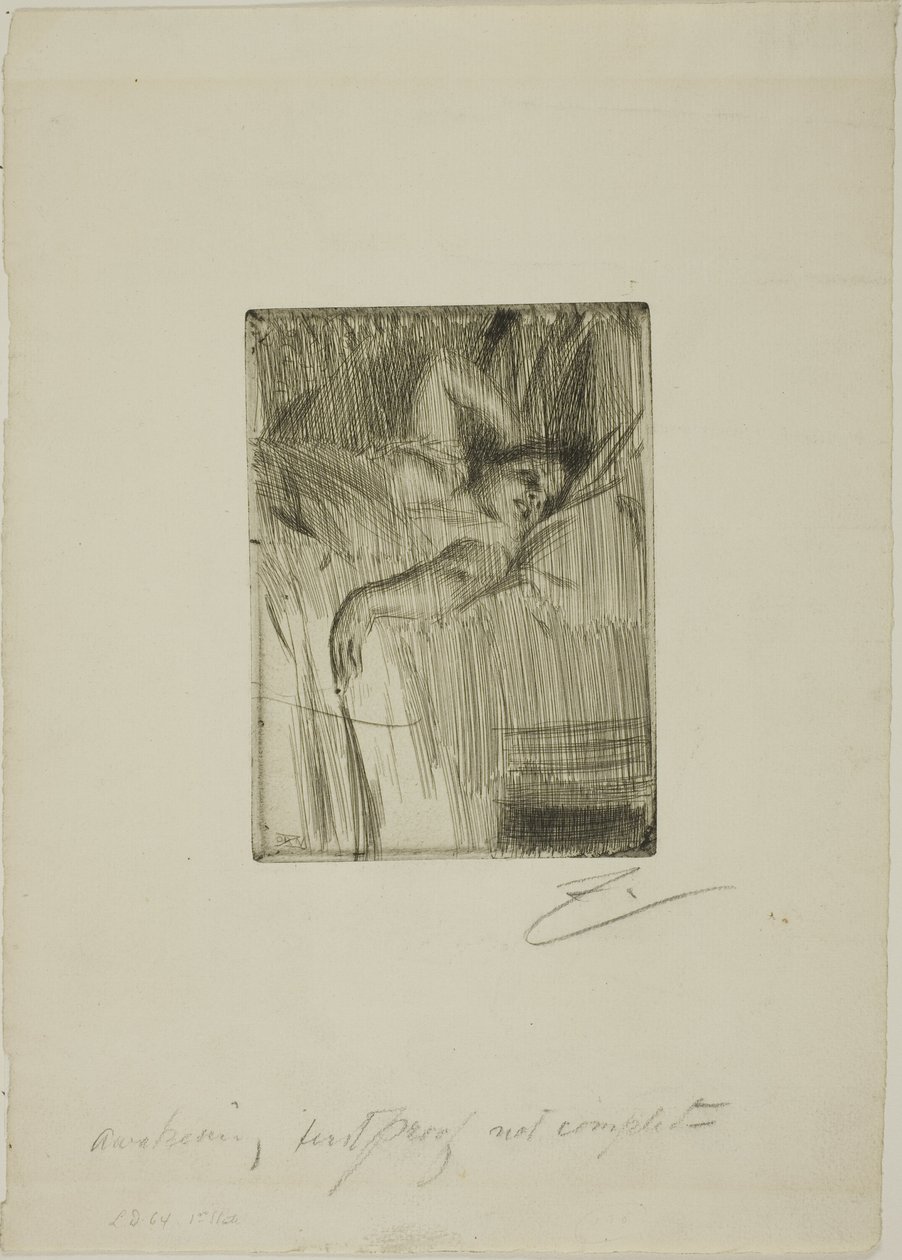 A riasztó alkotó: Anders Leonard Zorn