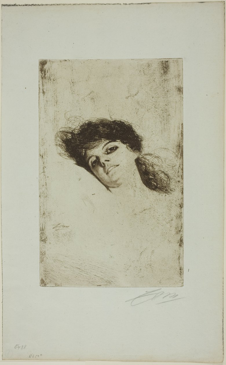 Mary alkotó: Anders Leonard Zorn