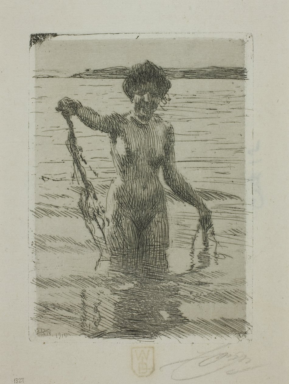 Hínár alkotó: Anders Leonard Zorn