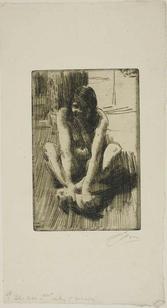 A béka alkotó: Anders Leonard Zorn