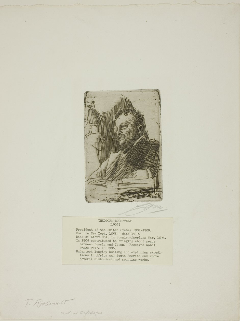 Theodore Roosevelt alkotó: Anders Leonard Zorn