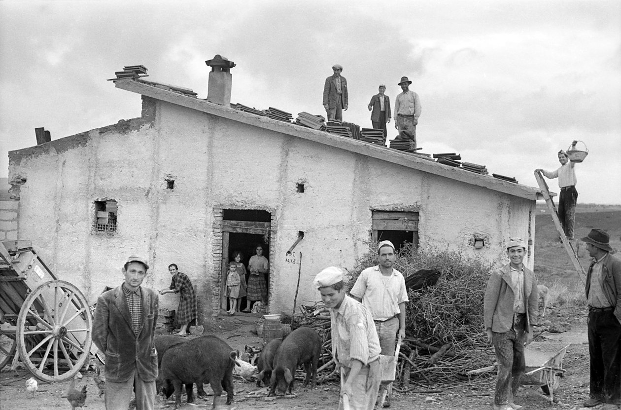 ÜNNEPLI A TETŐ FEDELÉT, alkotó: Ando Gilardi