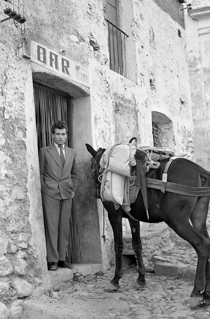 HAGYD ABBA AZ ÖSZVÉRREL alkotó: Ando Gilardi