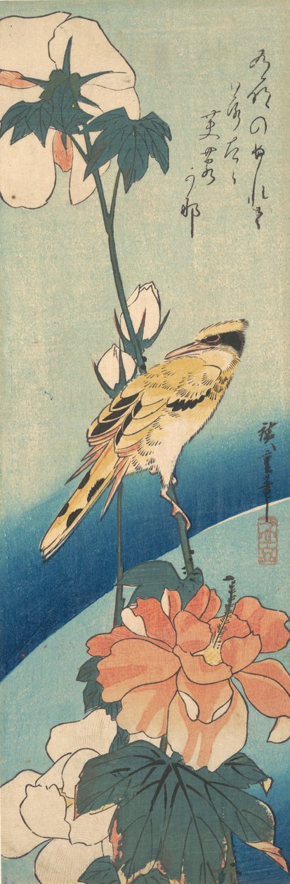 Fekete szarvas oriole rózsamályva szárán, kb. 1834., kb. 1834. alkotó: Ando Hiroshige