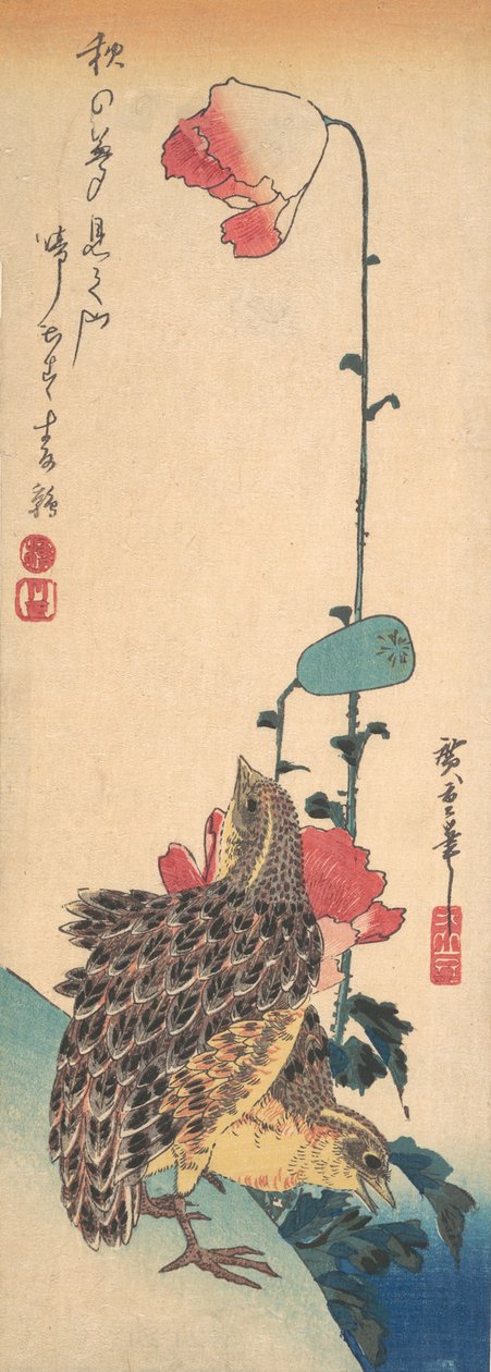 Egy pár fürj és mák, kb. 1835., kb. 1835. alkotó: Ando Hiroshige