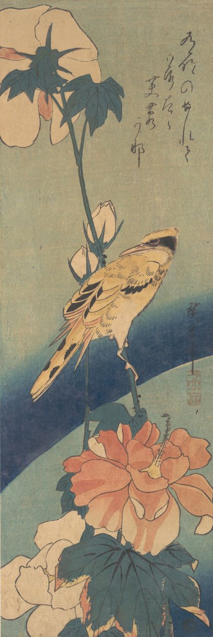 Fekete szarvas rózsavirág a rózsamályva szárán ülve, kb. 1834., kb. 1834. alkotó: Ando Hiroshige