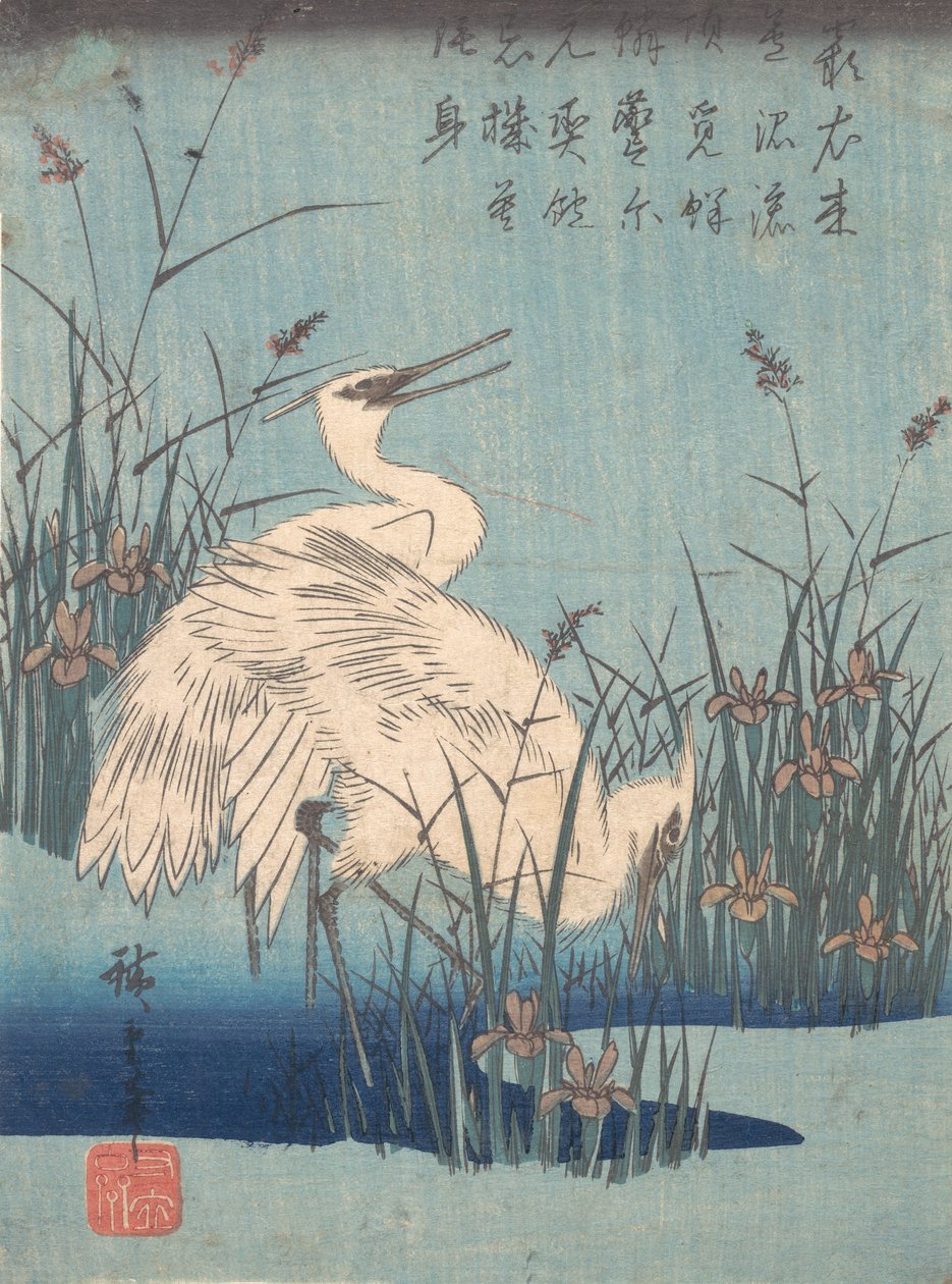 Kócsag az íriszben és a füvekben, kb. 1837., kb. 1837. alkotó: Ando Hiroshige