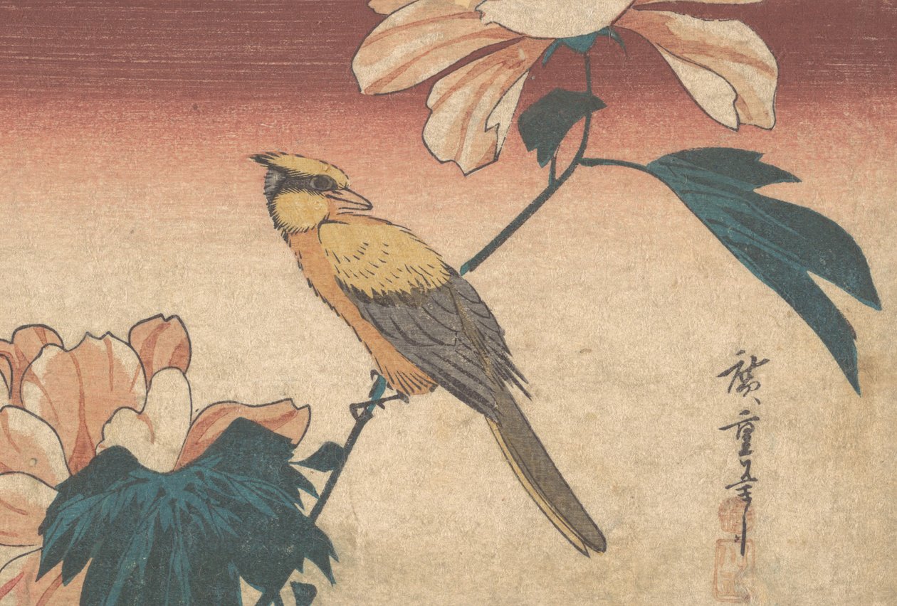 Hibiscus Mutabilis és Jay, kb. 1840., kb. 1840 alkotó: Ando Hiroshige