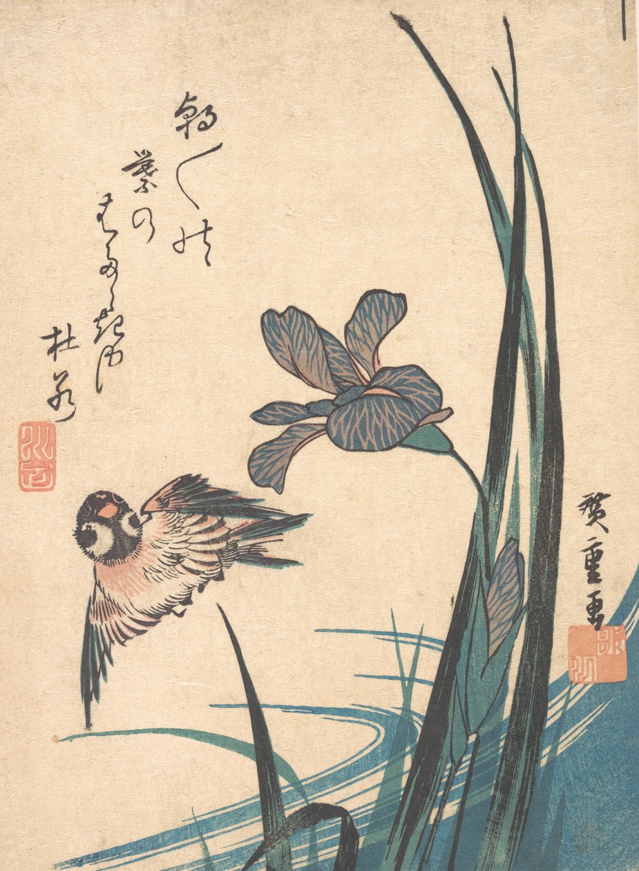 Iris és Sparrow, kb. 1832., kb. 1832. alkotó: Ando Hiroshige